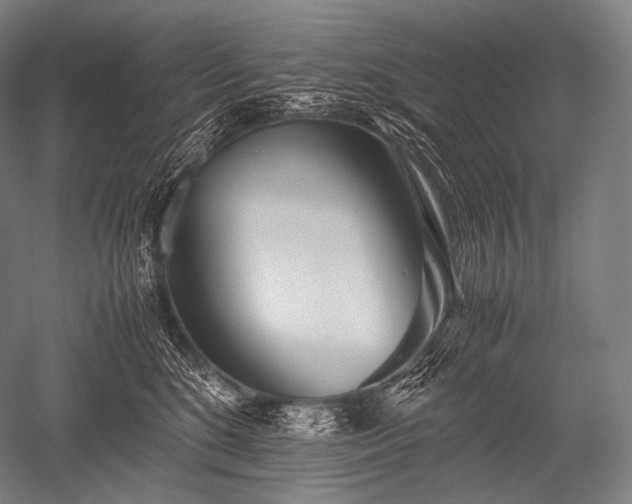 X0000052560520200507081639