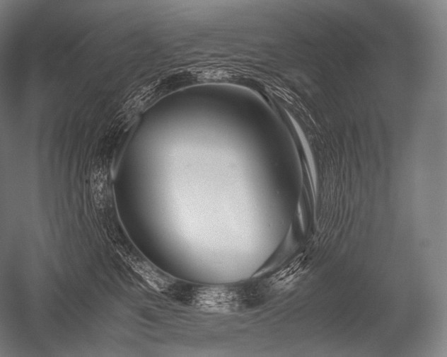 X0000052560521200507081639