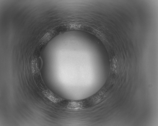 X0000052560522200507081639