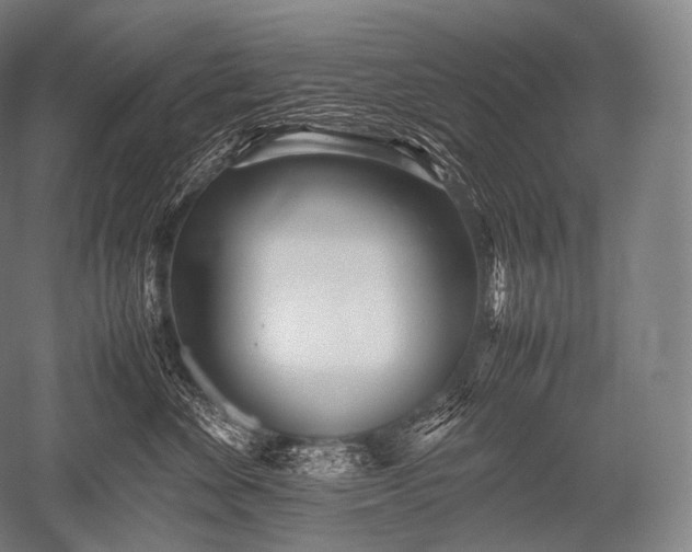 X0000052560524200507081639