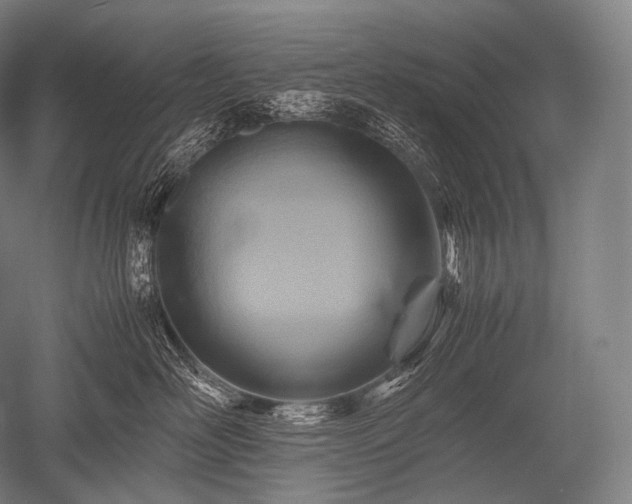 X0000052560526200507081639