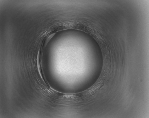 X0000052560528200507081639