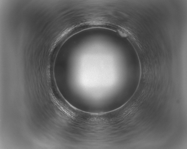 X0000052560535200507081638