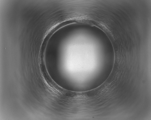 X0000052560536200507081638