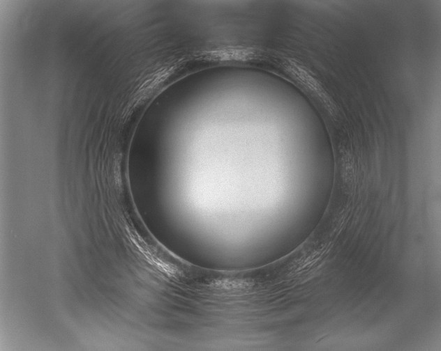 X0000052560537200507081638