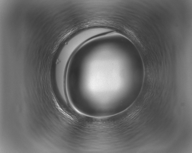 X0000052560538200507081638