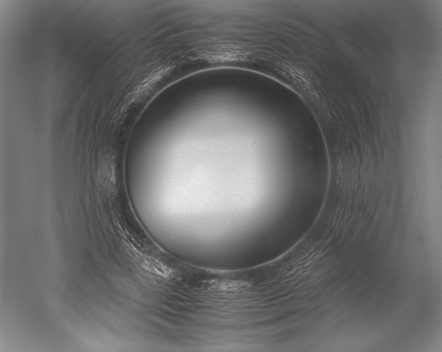 X0000052560539200507081638