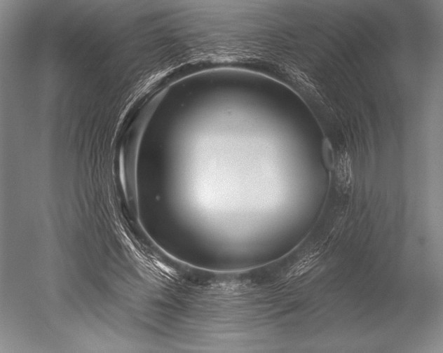 X0000052560540200507081638