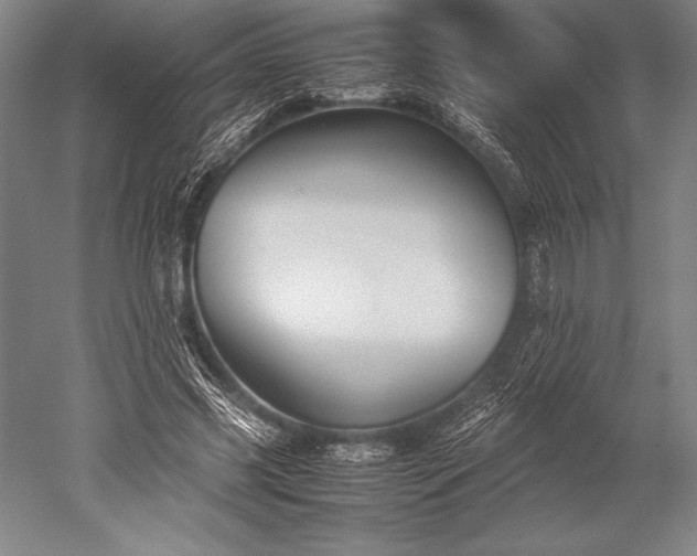 X0000052560541200507081638