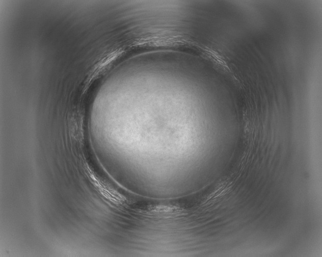 X0000052560542200507081638