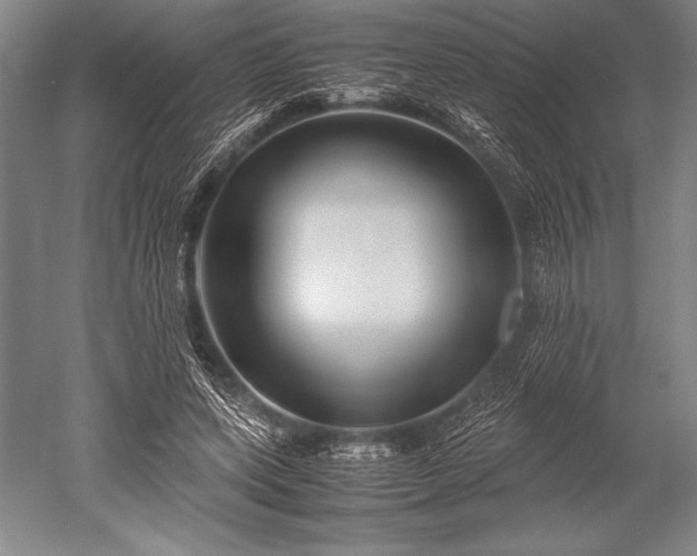 X0000052560543200507081638