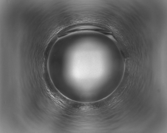 X0000052560544200507081638