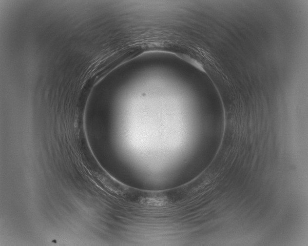 X0000052560548200507081638