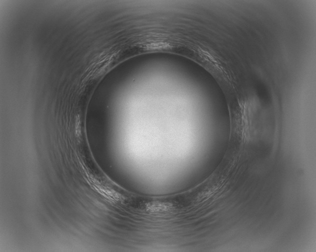 X0000052560549200507081638