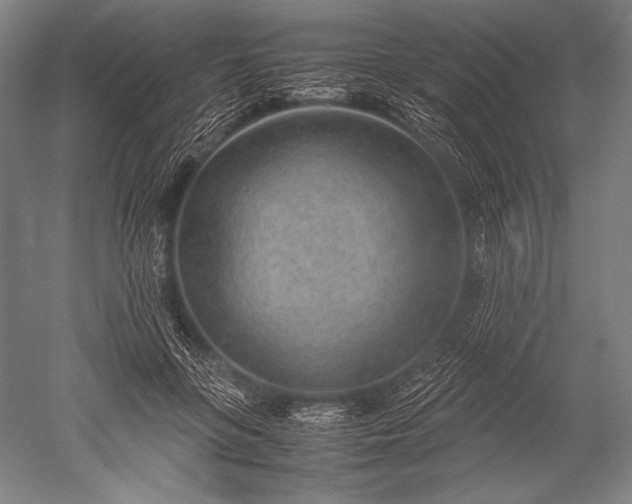 X0000052560551200507081638