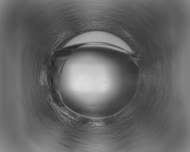 X0000052560552200507081638