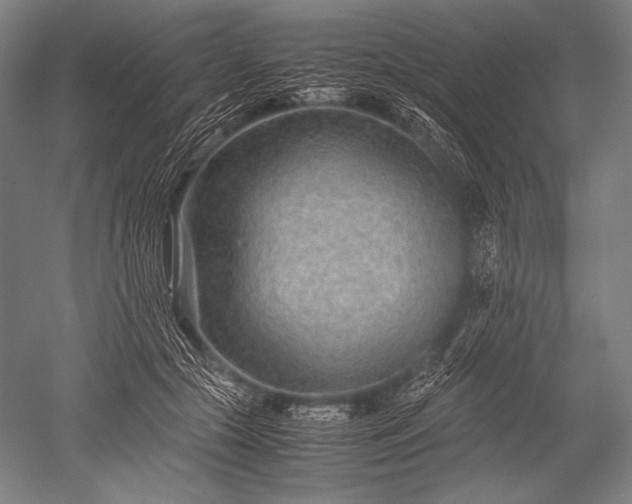 X0000052560553200507081638