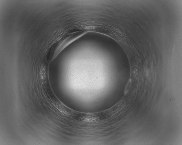 X0000052560555200507081638