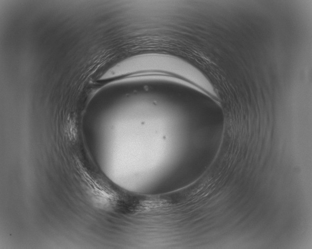 X0000052560556200507081638