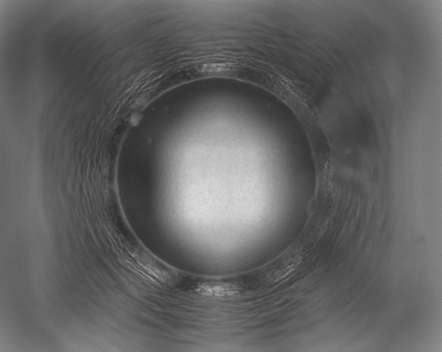 X0000052560557200507081638