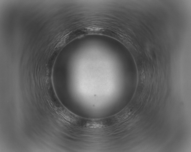 X0000052560559200507081638