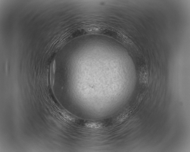 X0000052560561200507081638