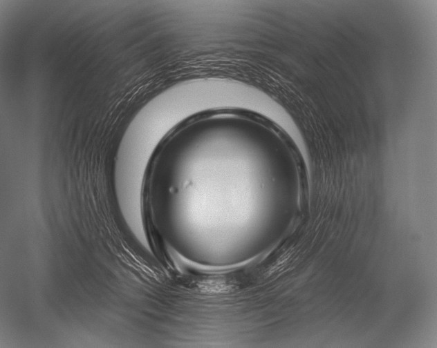 X0000052560562200507081638