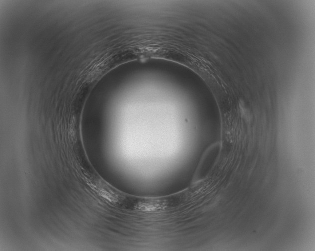 X0000052560563200507081638