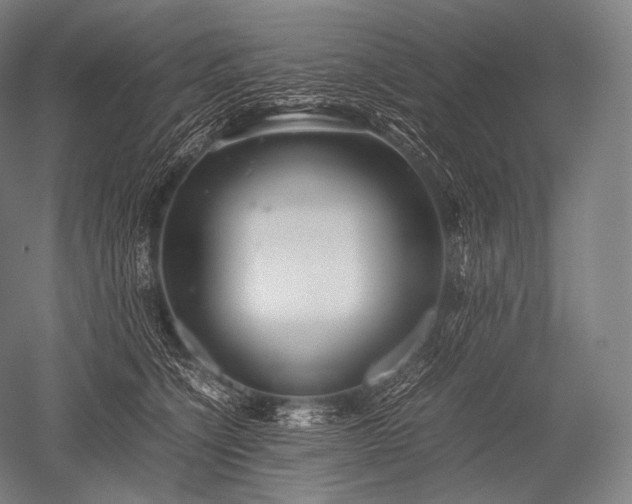 X0000052560564200507081638