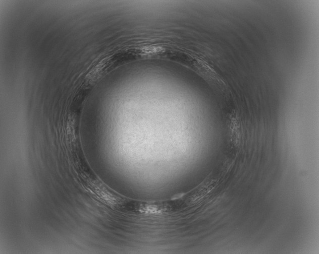 X0000052560565200507081638