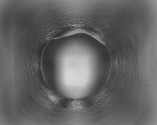 X0000052560566200507081638