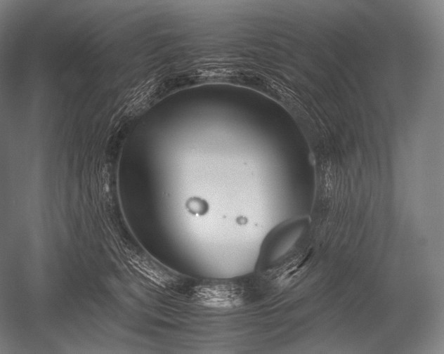 X0000052560567200507081638