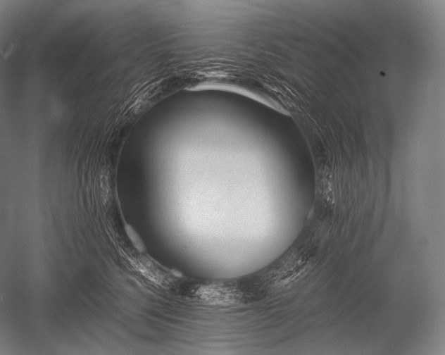 X0000052560568200507081639