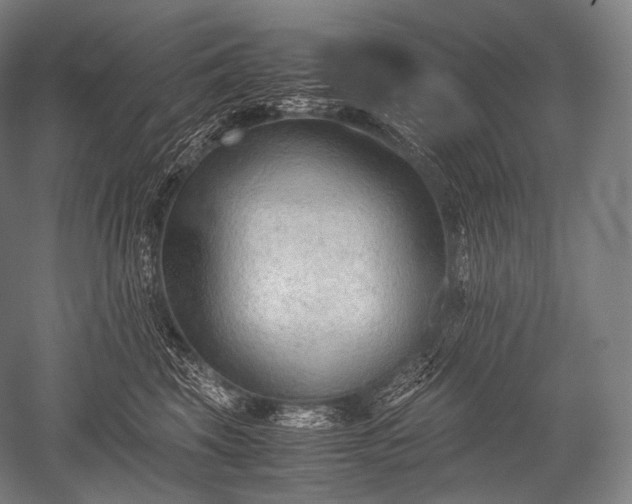 X0000052560569200507081639