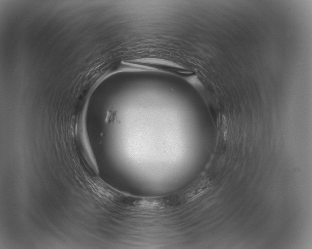 X0000052560570200507081639