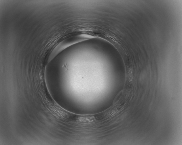 X0000052560571200507081639