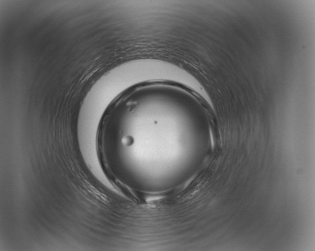 X0000052560572200507081639