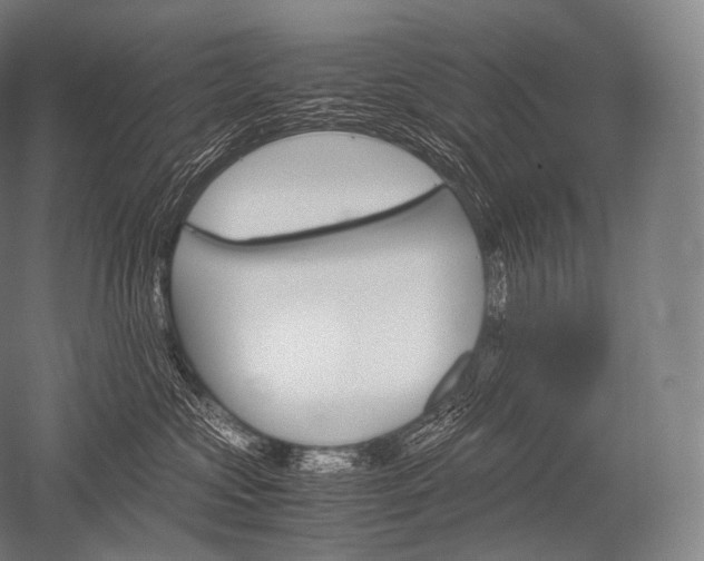 X0000052560573200507081639