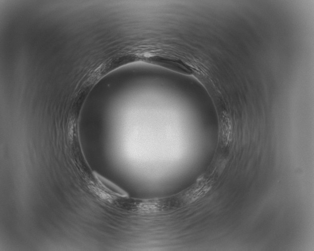 X0000052560574200507081639