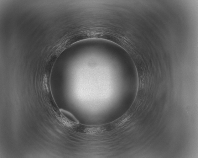 X0000052560575200507081639