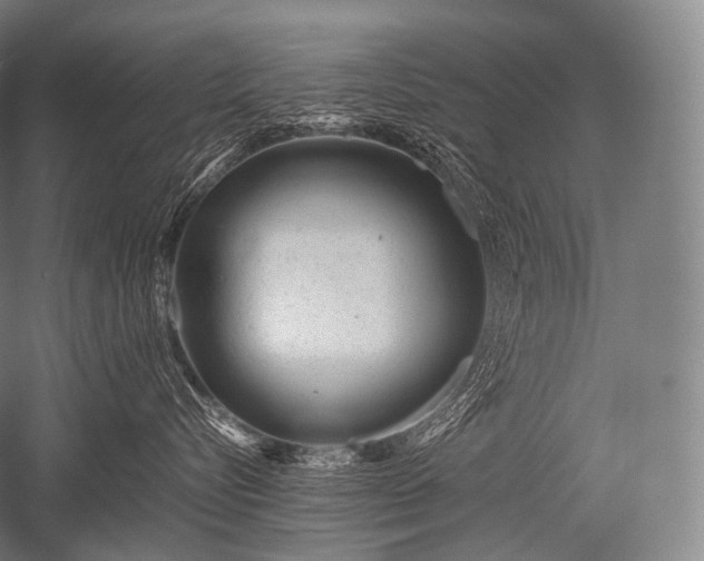 X0000052560576200507081639