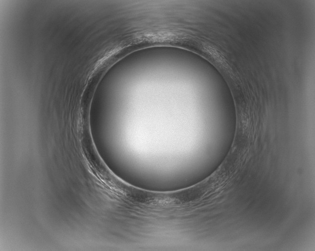 X0000052560583200507081638