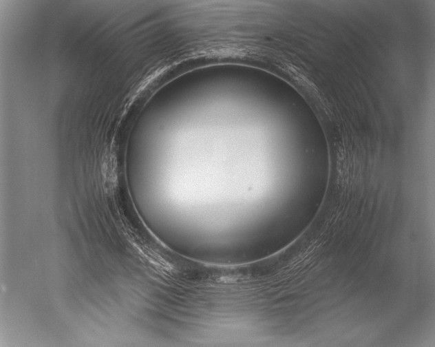 X0000052560584200507081638