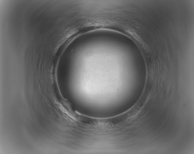 X0000052560585200507081638