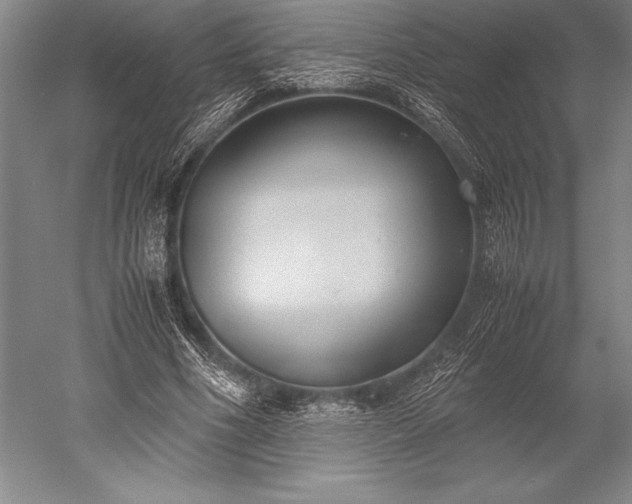 X0000052560586200507081638