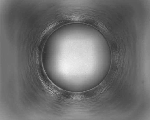 X0000052560587200507081638