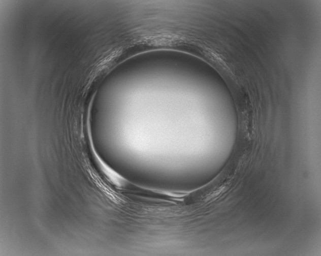 X0000052560589200507081638