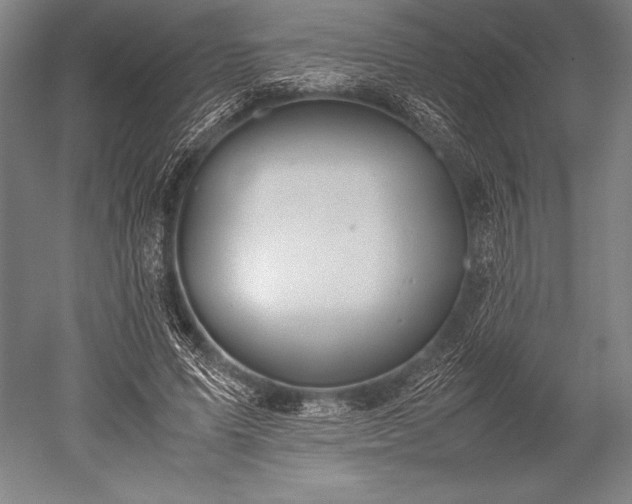 X0000052560591200507081638