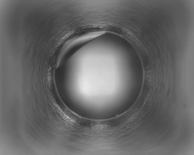 X0000052560593200507081638