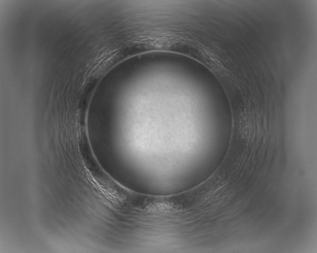 X0000052560594200507081638